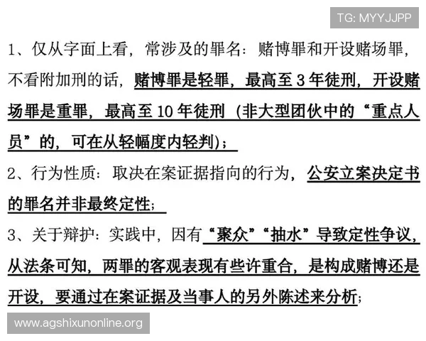 全面解析网上真人赌博的玩法技巧与风险控制策略帮助玩家提升胜率
